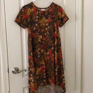 XXS LulaRoe Carly